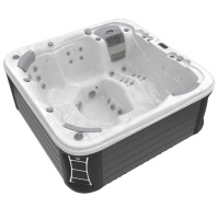 Гидромассажный спа-бассейн Wellis Lugano Life Deluxe