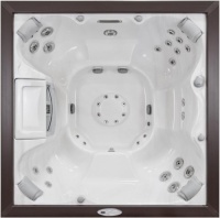 Спа бассейн Sundance Spas Constance